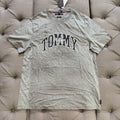 Tommy Hilfiger Regular Fit Arch Logo T-shirt 'Grey Navy White'