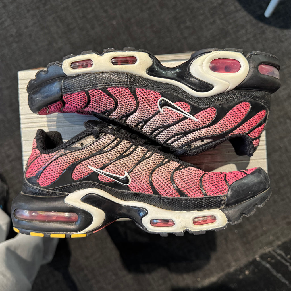 Nike Air Max Plus TN 'All Day' (Second hand)
