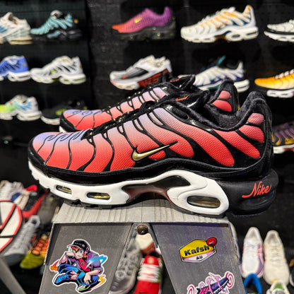 Nike Air Max Plus TN 'Sisterhood' (Second hand)