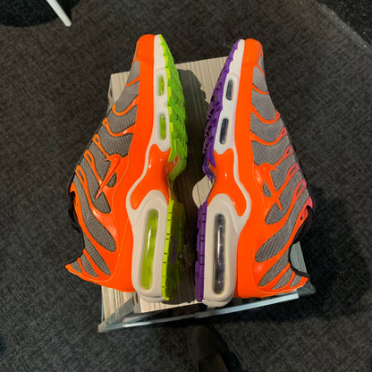 Nike Air Max Plus 'TN' Color Flip (Second hand)