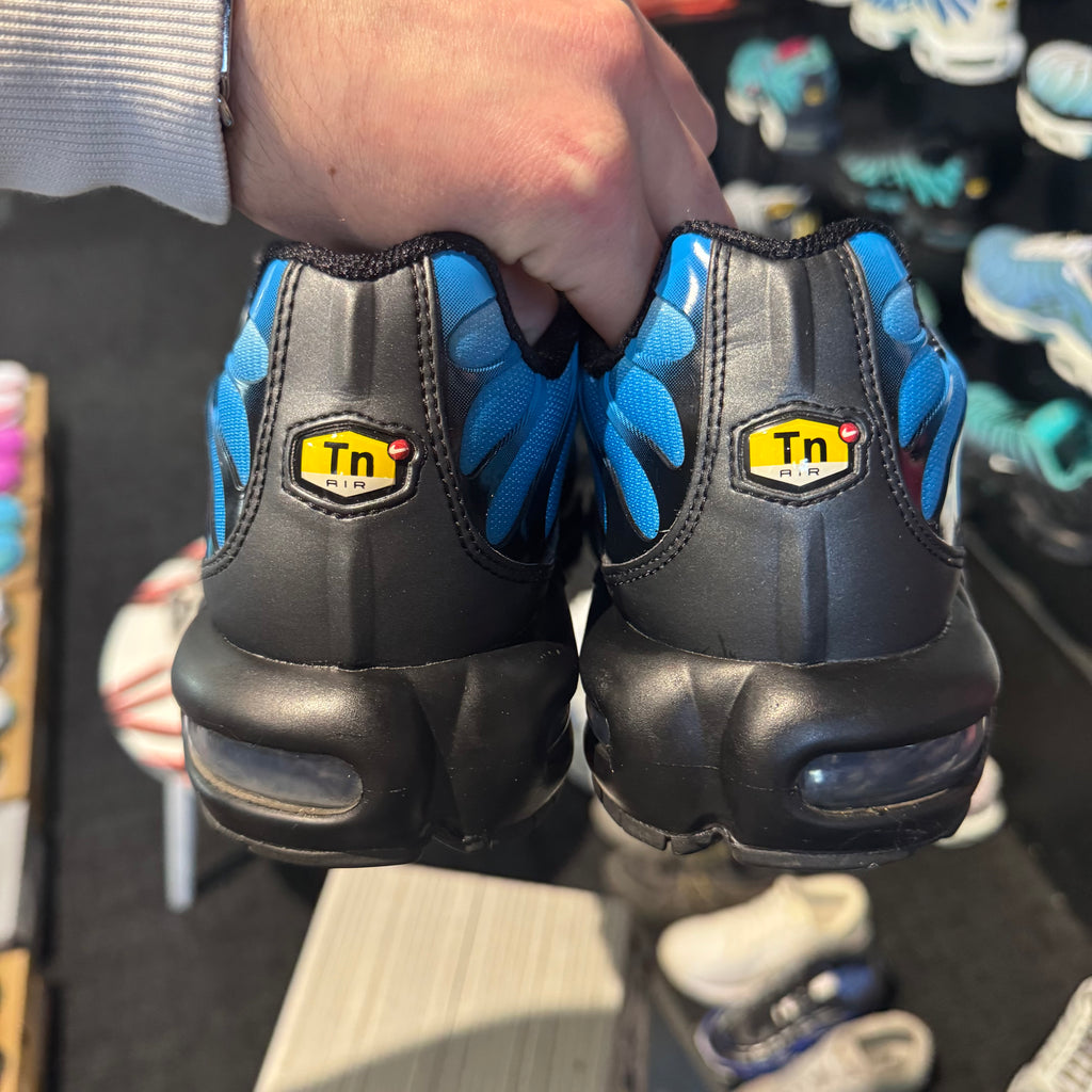 Nike Air Max Plus TN 'Neptune' (Second hand)