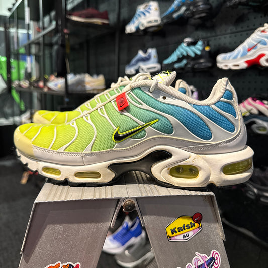 Nike Air Max Plus 'TN' Worldwide (Second hand)