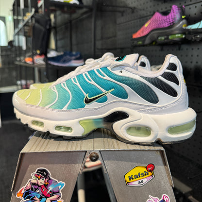 Nike Air Max Plus TN 'Dusty Cactus' (Second hand)