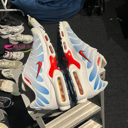 Nike Air Max Plus TN 'Tide' (Second hand)