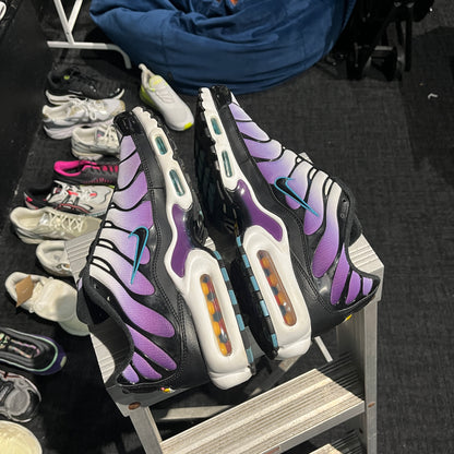 Nike Air Max Plus TN 'Reverse Grape' (Second hand)