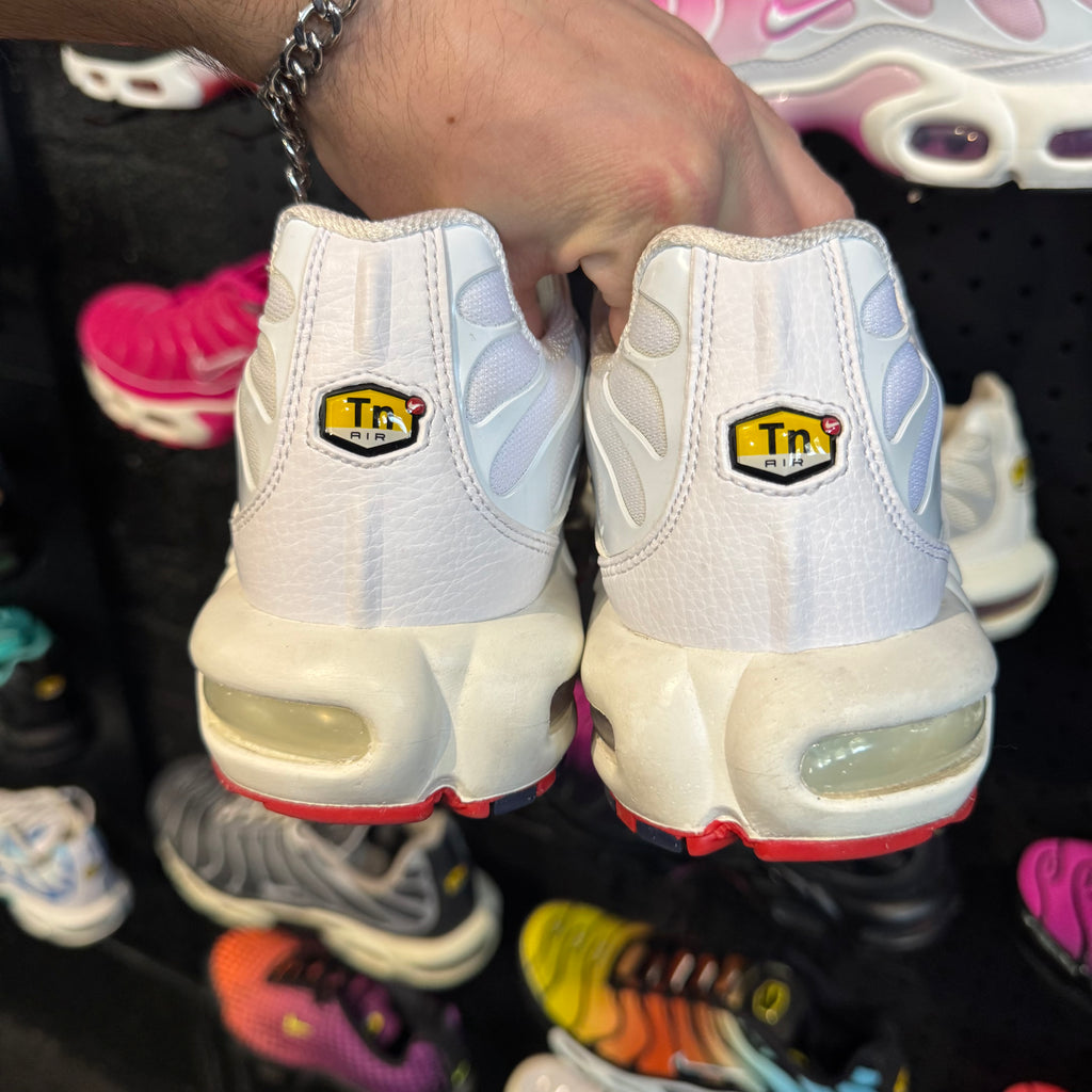 Nike Air Max Plus TN 'Bloodline' (Second hand)