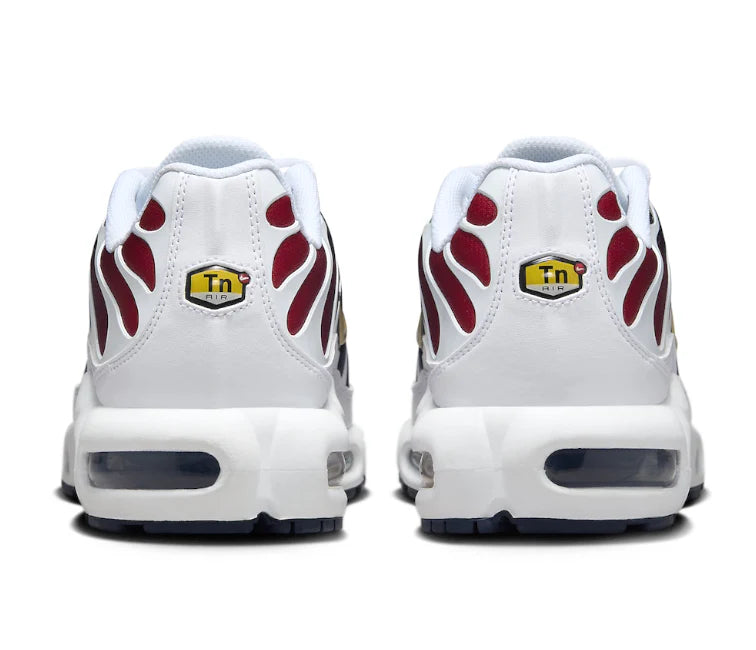 Nike Air Max Plus TN 'PSG'