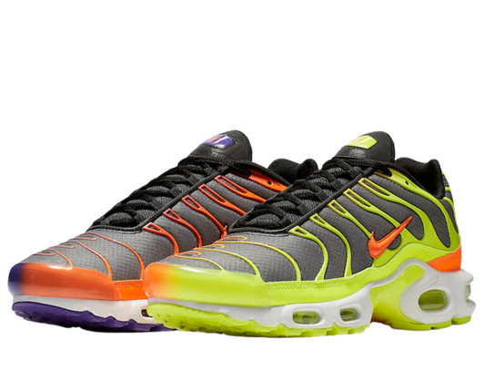 Nike Air Max Plus "TN" Dark Color Flip