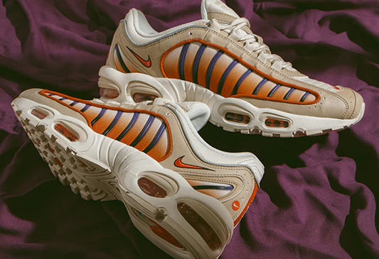 Nike Air Max Plus "Tailwind" Dessert Ore